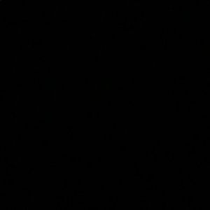 Meet your Posher, Chyna